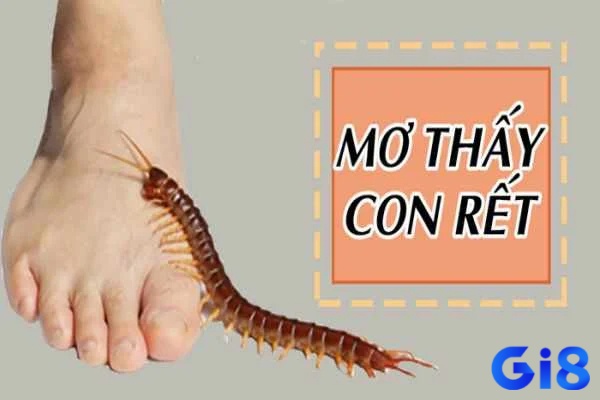 Thấy rết đánh con gì - Chiêm bao xảy ra nhiều trường hợp khác nhau 