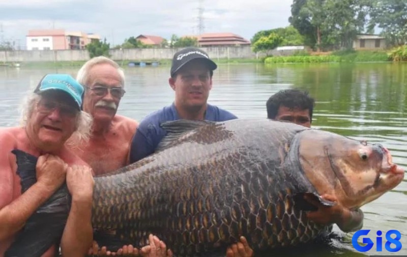 Khi bạn bắt được nhiều cá điều đó cũng có thể phản ánh cảm giác thỏa mãn và hạnh phúc trong cuộc sống